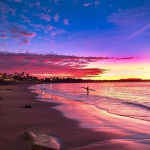 Meet your Posher, Shelly